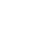 •	business consulting •	surveys